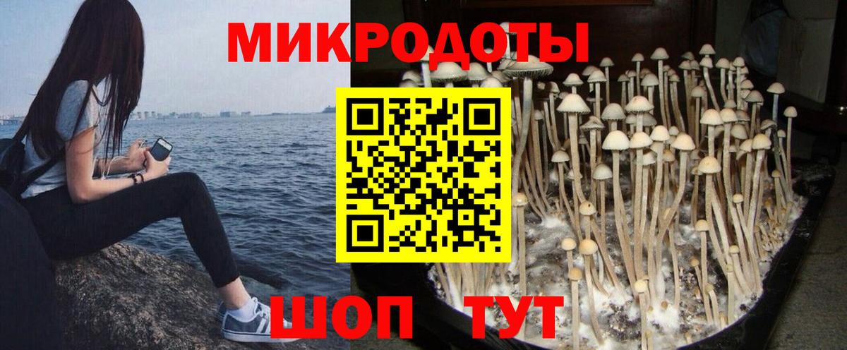 Полевской  Галлюциногенные грибы мухоморы  Вход с VPN 